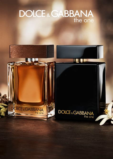 dolce gabbana caravan|the one for men dolce gabbana.